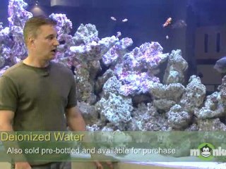 Saltwater Aquarium - Trouble Shooting