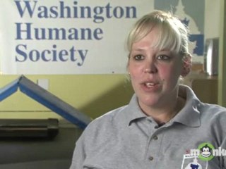 Why does the adoption process seem so complicated?