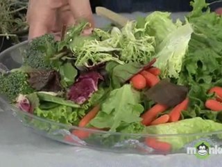 Rabbit Care - Choosing the Proper Diet for your Rabbit