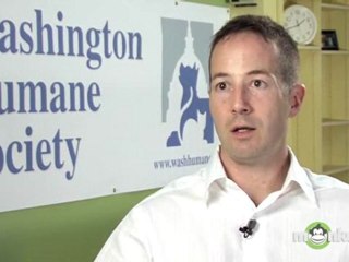 What can I do to prepare my family when I adopt a new dog?