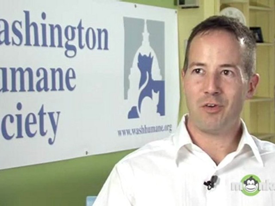 What can I do to prepare my existing dog when I adopt a new dog?