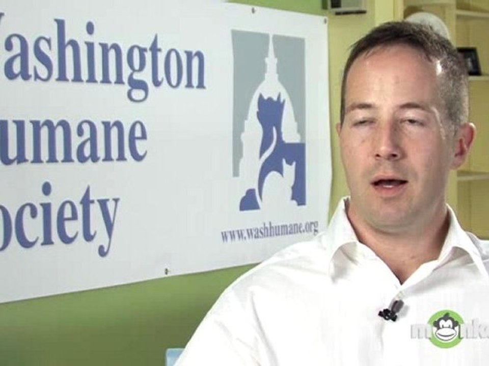 How long can a newly adopted dog be left alone?