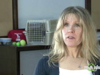 What can I do long before an emergency to prepare my pets?