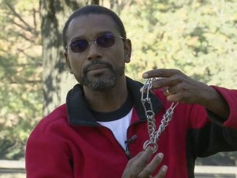 Dog Training - Teaching Your Dog to Stop Barking