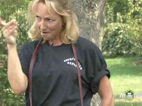 Dog Training - Teaching Your Dog to Heel Off Leash