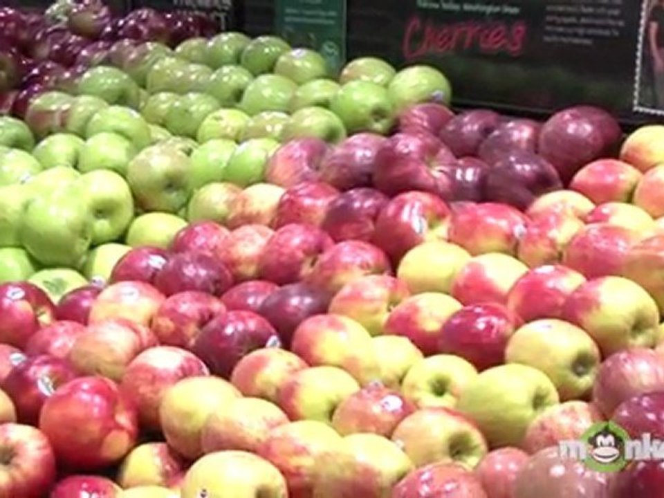 Obesity - Getting with the Program