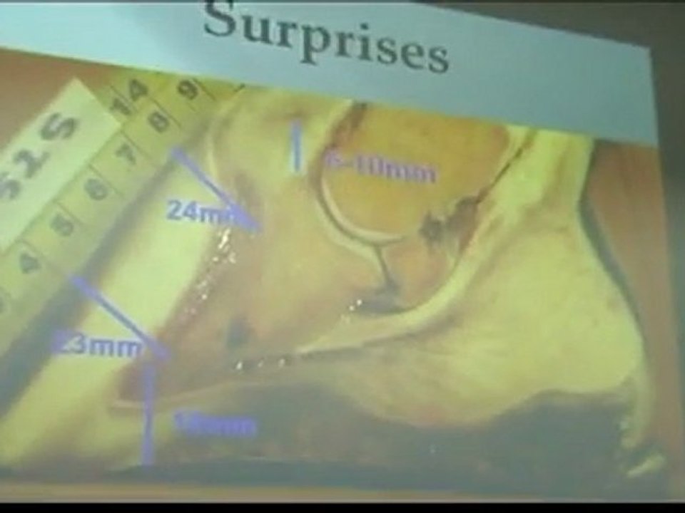 Brian Hampson - 1/2 - Forschung an Wildpferdehufen (feral horse foot research) - Huftagung der DHG 2011 Leipzig - Deutsche Huforthopädische Gesellschaft e.V.