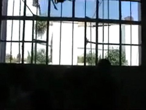 فري برس حمص القديمة جولة الناشط بيبرس التلاوي ويدخل مسجد 2 4 2012