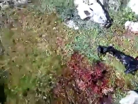 فري برس ادلب حاس أولى صور المجزرة والاعدامات الميدانية2 4 2012 ج1