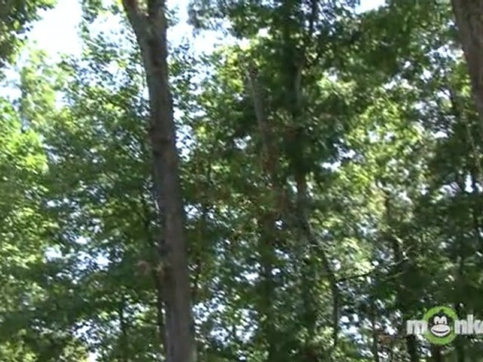 Professional Tree Care Insurance