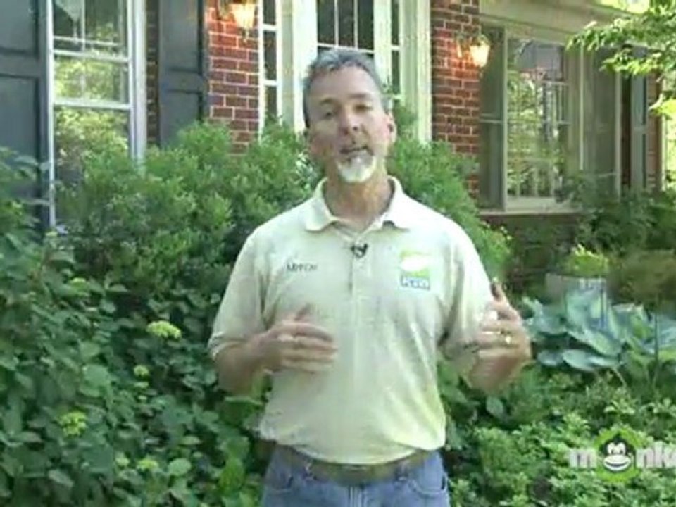 Early Summer Gardening Tips