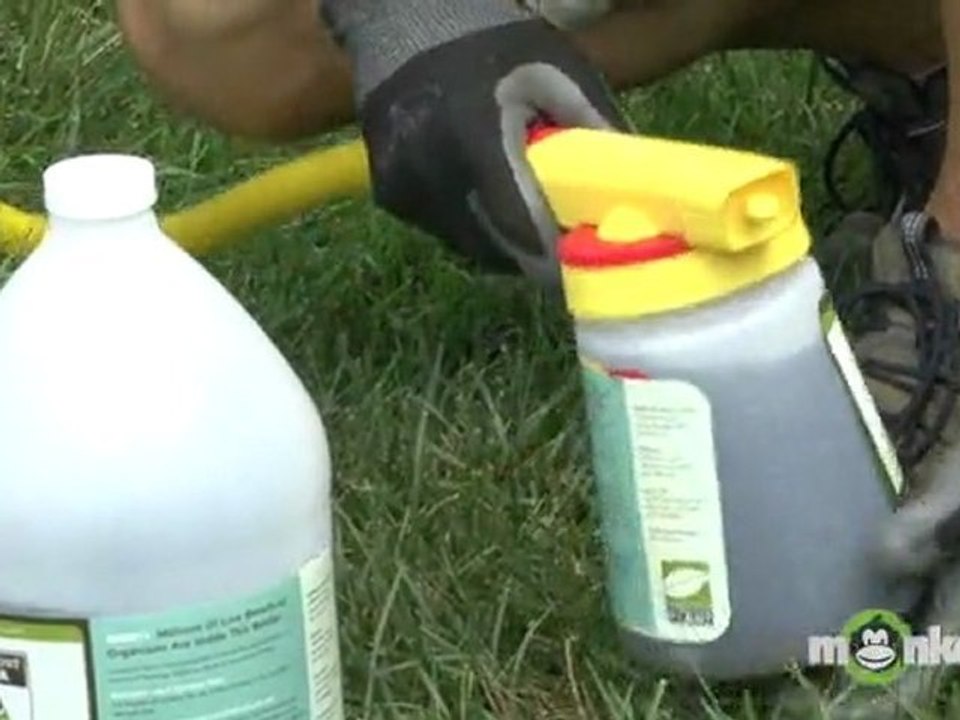 Late Summer Lawn Care