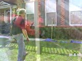 Trimming Hedges and Shrubs