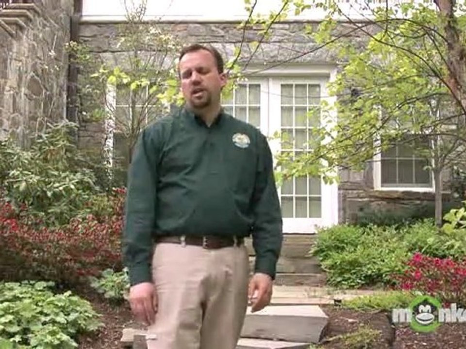 Spring Lawn Maintenance Tips