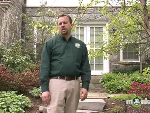 Spring Lawn Maintenance Tips