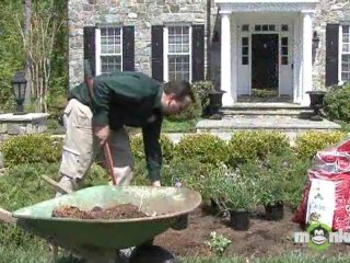 Spring  Garden Planting