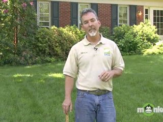 June Gardening Tips - Summer Lawn Care