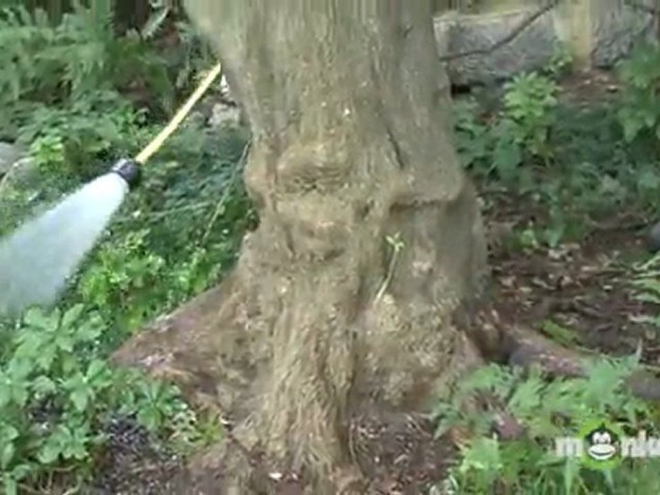 How to Winterize an Ornamental Garden