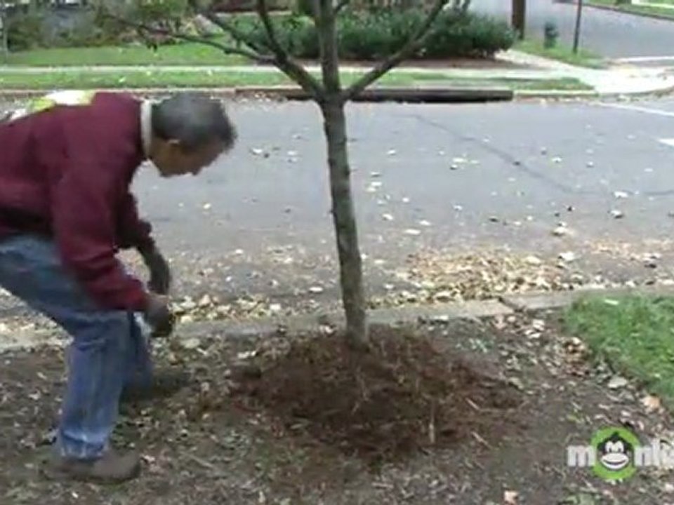 Winterizing Garden - Mulching