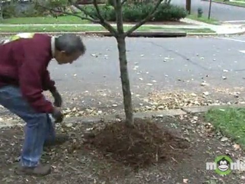 Winterizing Garden - Mulching