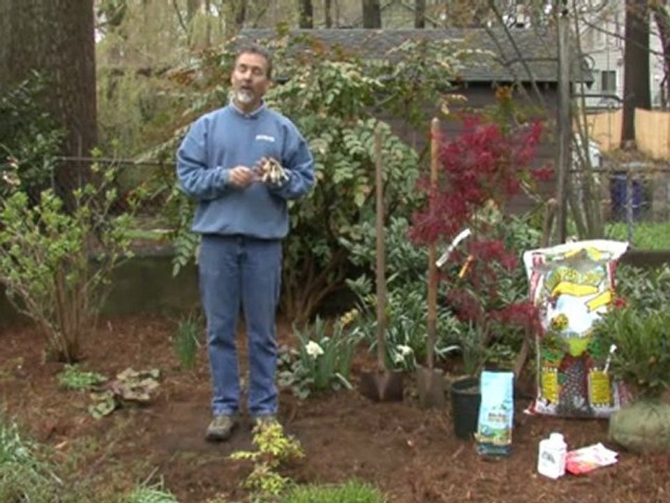 Plant a Tree - Planning