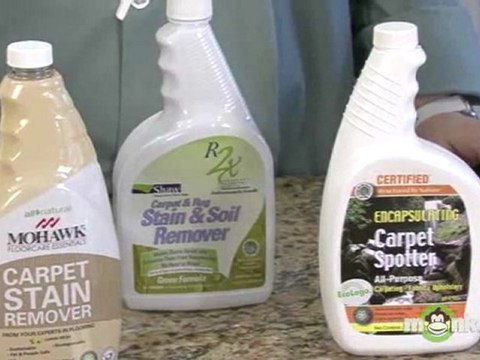 Green Carpet Cleaners - Retail Green Cleaners