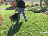 Maintaining the Lawn Mower