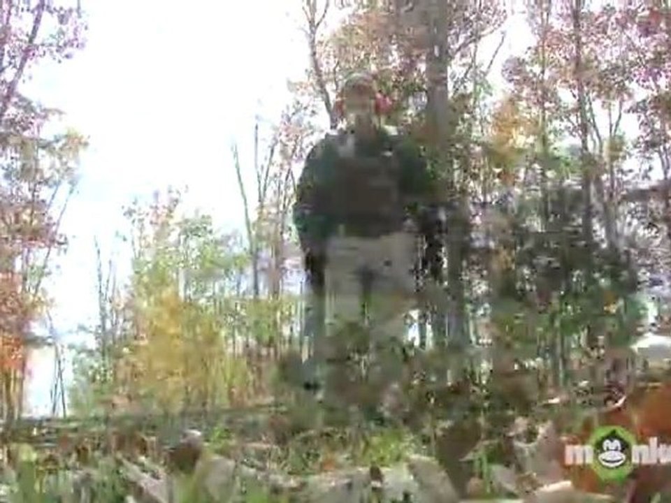 Leaf Blowers - Gas vs. Electric