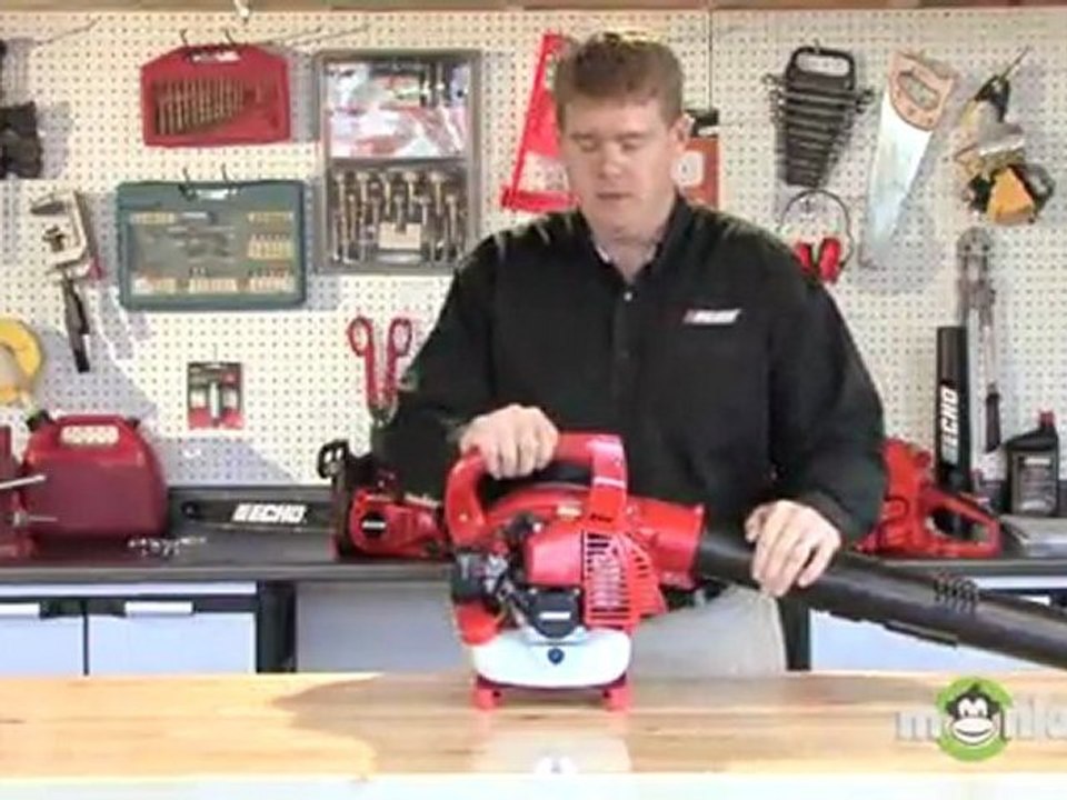 Gas Leaf Blower - Handheld Advantages