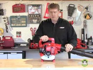 Gas Leaf Blower - Handheld Advantages