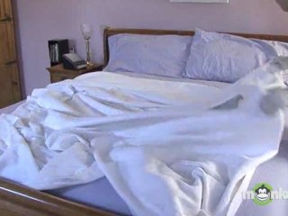 House Cleaning - Making a Bed