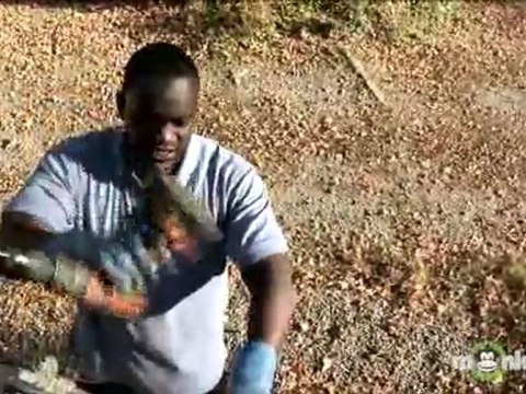 Cleaning Gutters-Clean the Final Parts of the Gutter