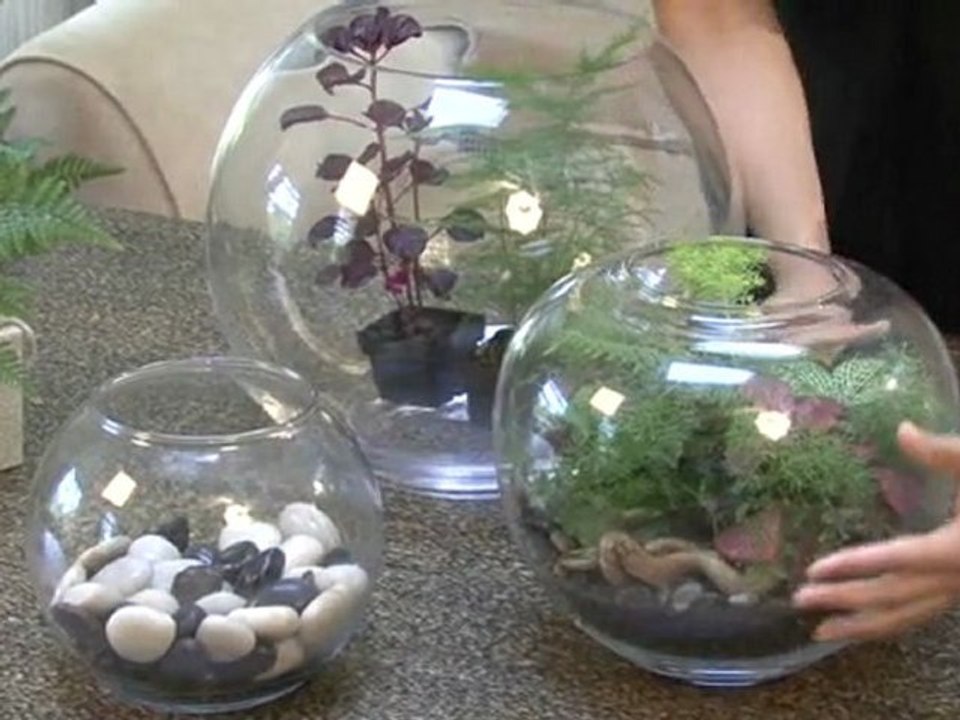 Build a Terrarium - Choosing a Container