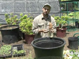 Organic Gardening - Propagation Methods