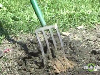 How to Plot and Make Vegetable Garden Beds