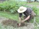 How to Transplant Seedlings to an Outdoor Vegetable Garden