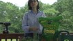 Herb Garden - How to Select Organic Potting Soil