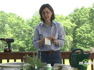 Herb Garden - Sprouting Herbs from Seeds