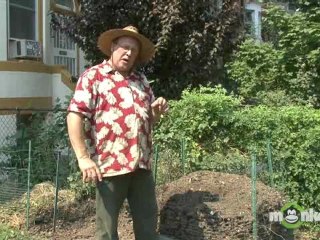 Compost - Controling Smells