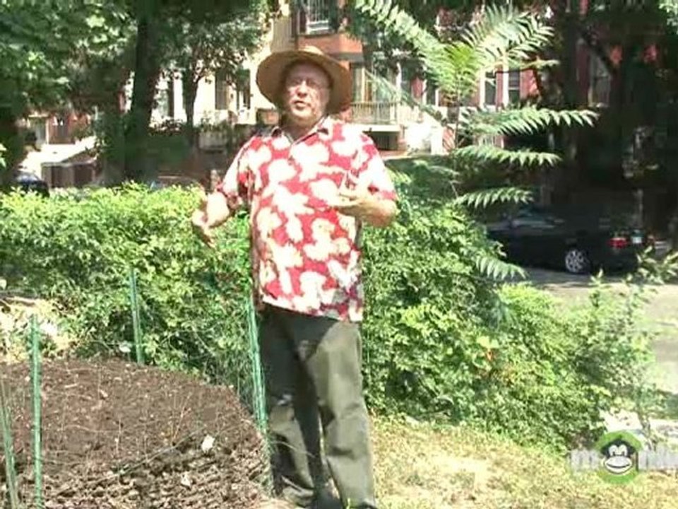 Compost - Hot and Cold