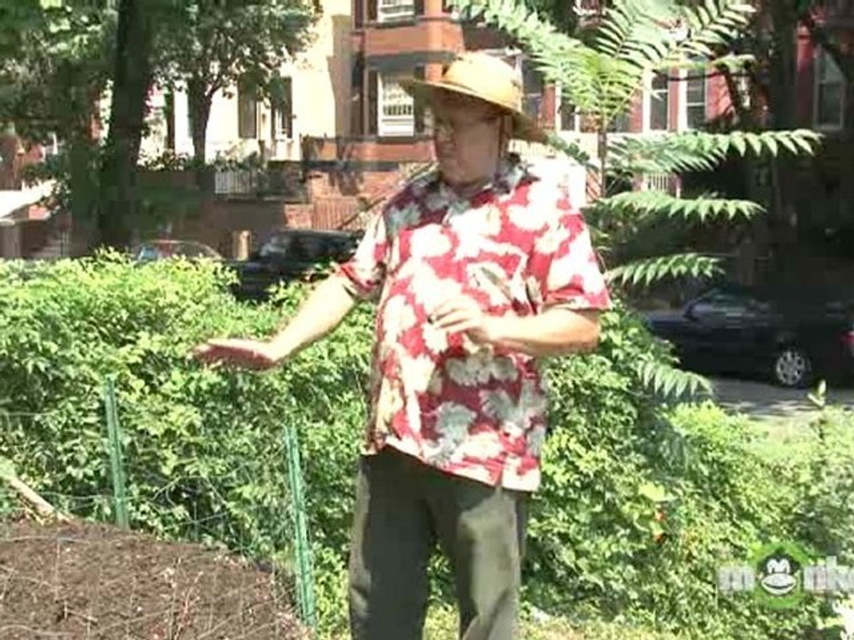 Things Not to Compost