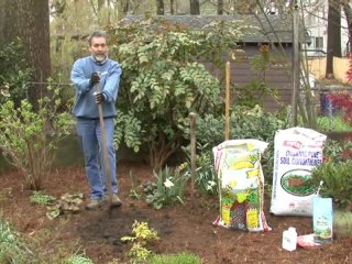Plant a Tree - Preparing the Hole