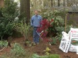 Plant a Tree - Watering Your New Tree