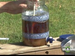 How to Make Carolina Sweet Sun Tea