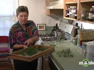 How to Dry Garden Herbs
