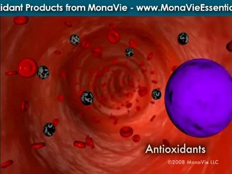 Natural Energy Drinks – MonaVie EMV Low Cal Energy ...