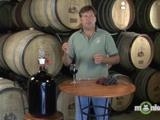 Wine Making - Storing and Fermenting Wine