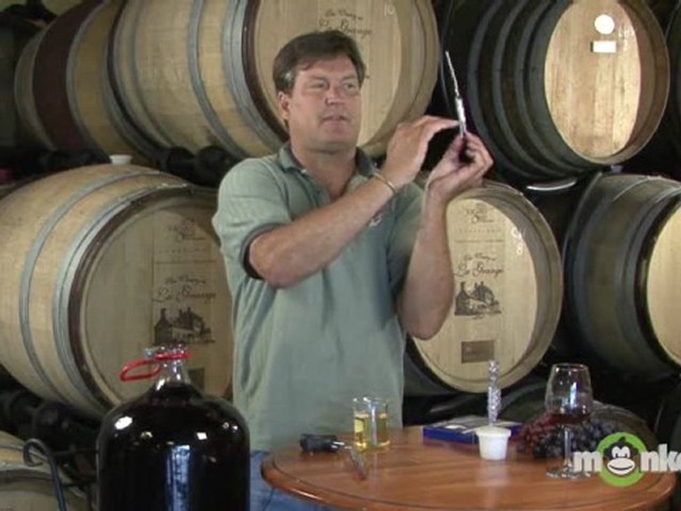 Wine Making - Testing and Bottling