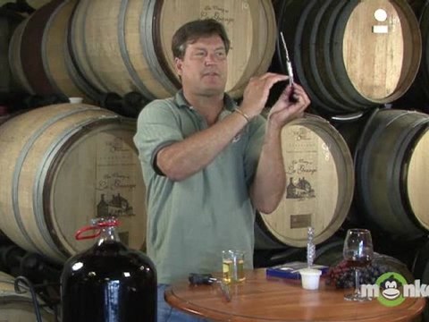 Wine Making - Testing and Bottling