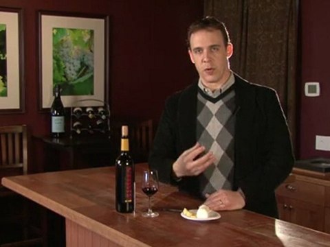 Understanding the Connection between Wine and Food